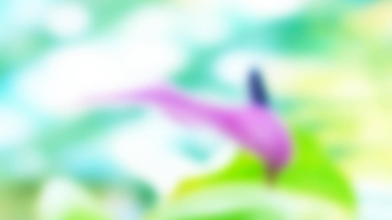 hero-image